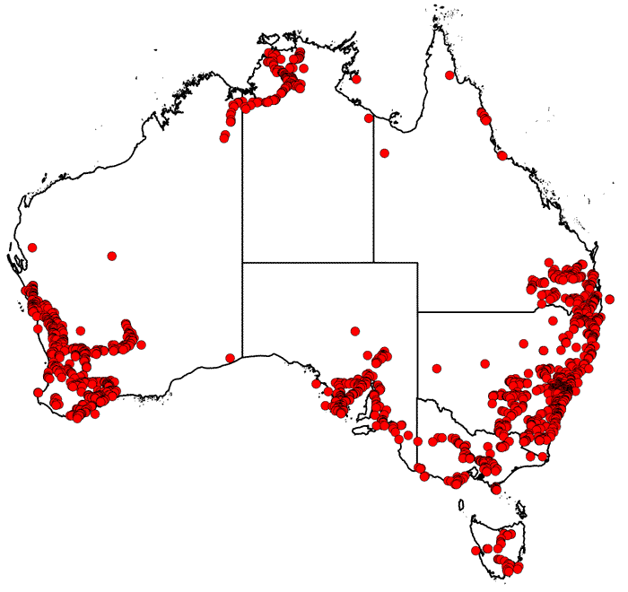 Map of collecting locations from AVH for Mary Tindale