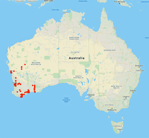 collecting locality map for 'Andrews, C.R.P.'