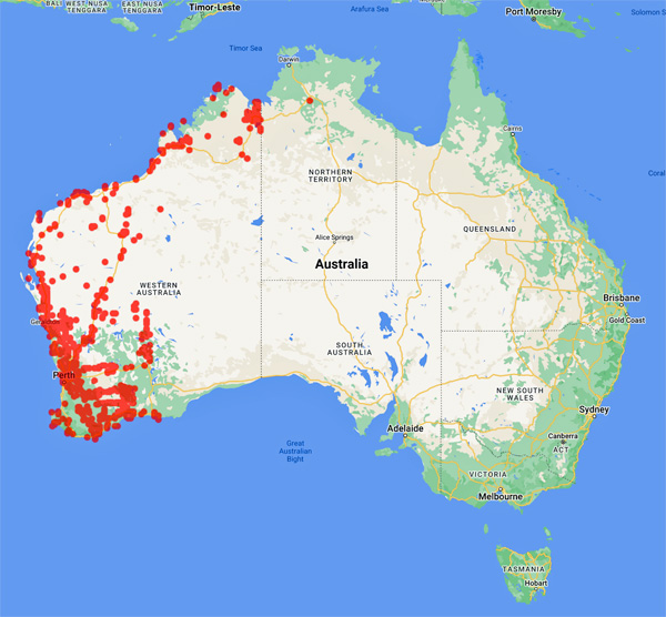 collecting locality map for 'Lullfitz, F.'