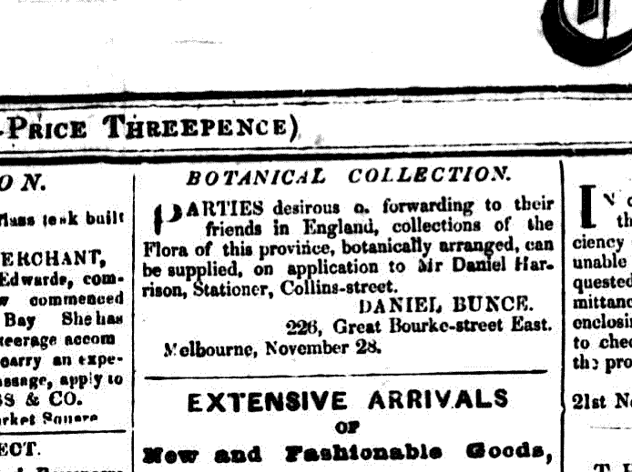 newspaper advert