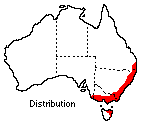 distribution map