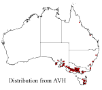 Pultenaea pedunculata distribution