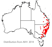 Dampiera purpurea distribution