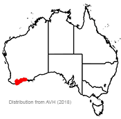 Banksia baxteri distribution